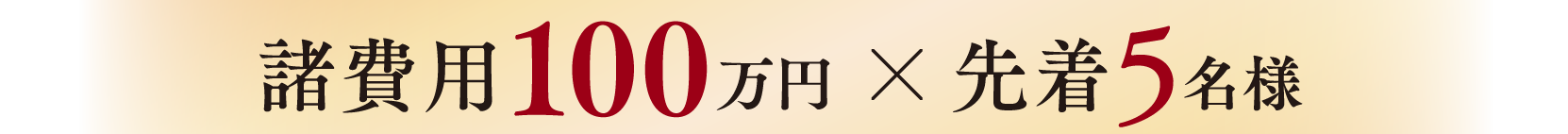 諸費用100万円 × 先着5名様