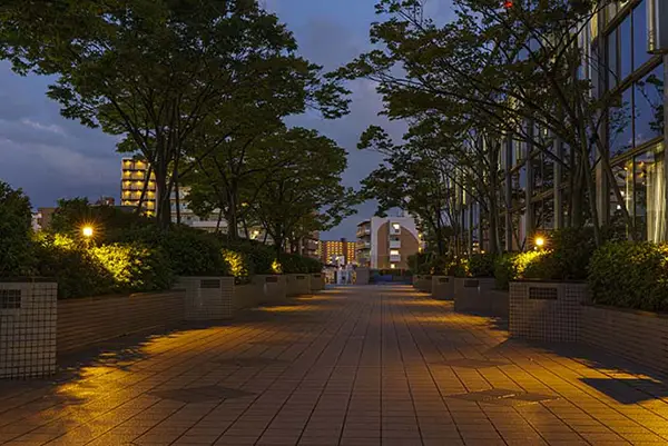 マンション敷地内の道