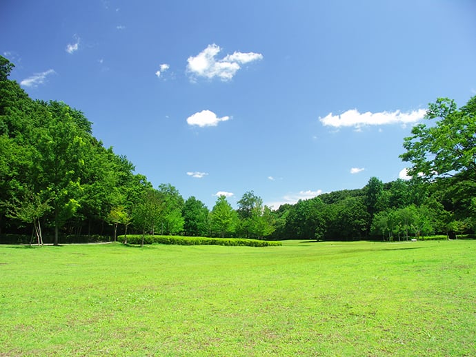 緑豊かな広い公園