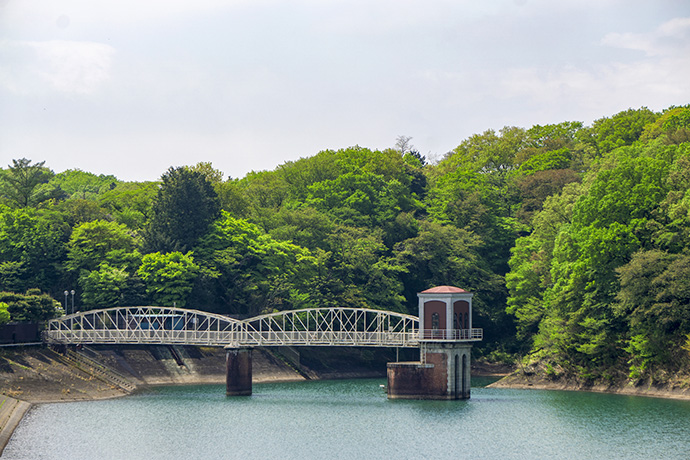 狭山丘陵