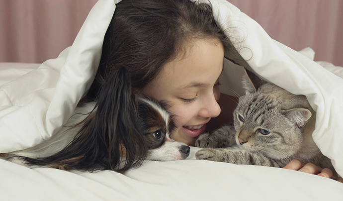 犬と猫とベッド