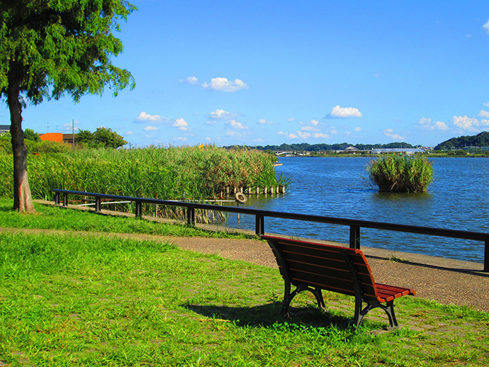 手賀沼公園