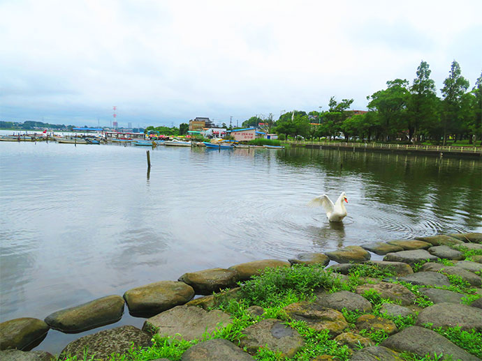 手賀沼公園の景色