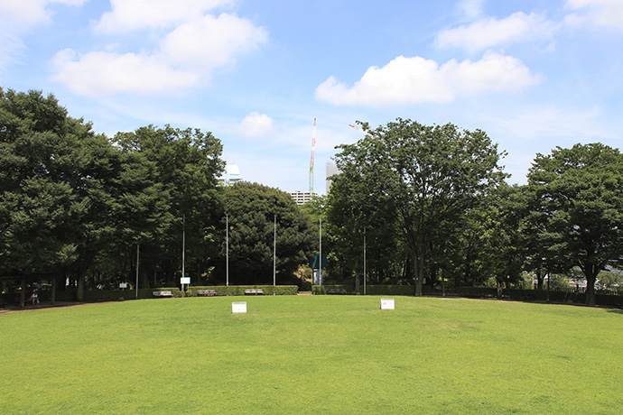 川口西公園の芝生広場