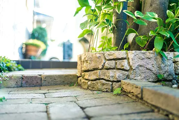 レンガ敷の通路と植木