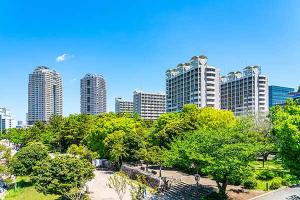 公園とタワーマンション