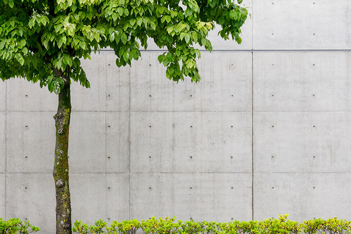 外壁がコンクリート打ちっぱなしな建物
