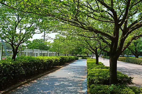 朝霞中央公園