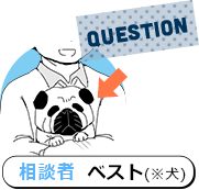 QUESTION 相談者 ベスト(※犬)