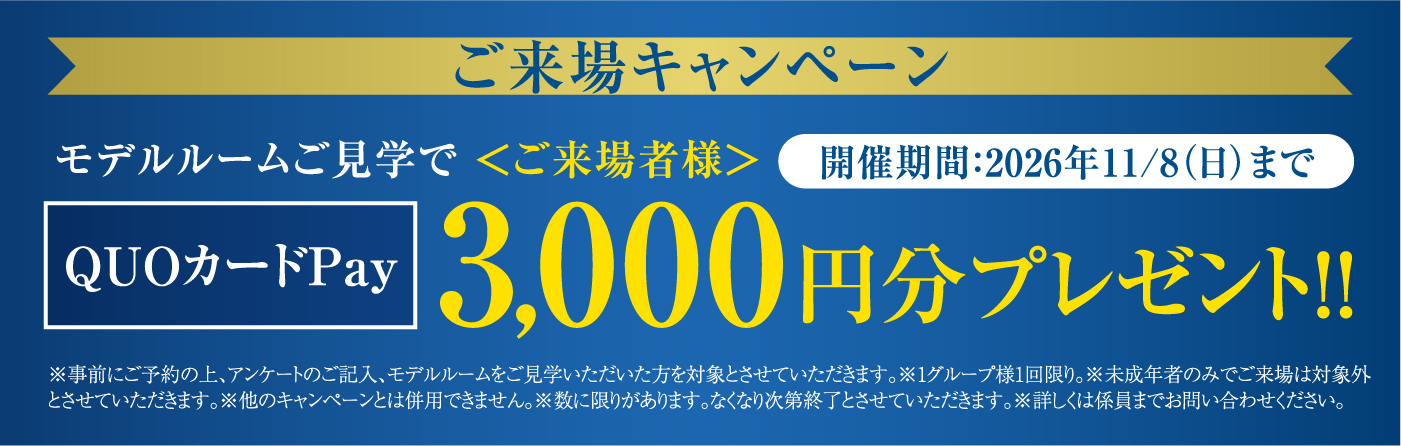 Wキャンペーン