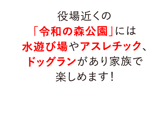 役場近くの「令和の森公園」には水遊び場やアスレチック、ドッグランがあり家族で楽しめます！