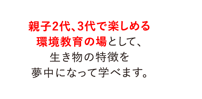 親子2代、3代で楽しめる環境教育の場として、生き物の特徴を夢中になって学べます。
