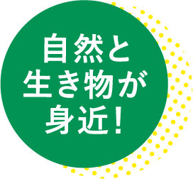 自然と生き物が身近！