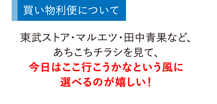 東武ストア・マルエツ・田中青果など、あちこちチラシを見て、今日はここ行こうかなという風に選べるのが嬉しい！